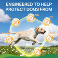 Puyrzoe Flea and Tick Prevention for Dogs, 4 Pack Flea Collar for Dogs