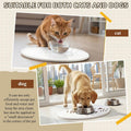 Stone Mat for Dog and Cat Water Bowls 12.6 x 11 Inch Absorbent Feeding Mat Christmas Pet Gift Quick Drying Tray for Pet Water Fountains Diatomaceous Earth Accessories for Messy Drinkers