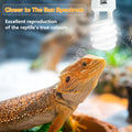 LUCKY HERP UVA UVB Reptile Light 10.0, Desert UVB 150 Compact Fluorescent Lamp, UVB Light for Reptiles 23W, UVA UVB Rept