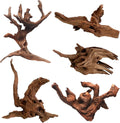 Hamiledyi 5 Pcs Driftwood Branches 5.5"-8.6" Aquarium Wood Decoration