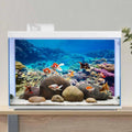 Aquarium Background Coral Tropical Undersea Fish Tank Backdrop 36x20 inches