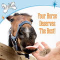 The Lazy Dog Cookie Co. Bitscuits, Horse Treats, Alfalfa, Flax & Peppermint, Pocket Size Biscuits for Horses & Ponies, A