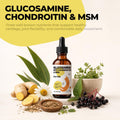 Glucosamine for Cats, Senior Hip & Joint Support, Chondroitin & MSM Drops
