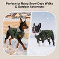 Queenmore Winter Dog Jackets for Medium Dogs with Harness Built-in