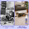 KTSAY Cat Deterrent Spray - Effective Repellent Spray for Furniture Protection, Safe Natural Indoor & Outdoor Training A