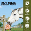Animal Licking Salt Mineral Rock,100% Natural Rock Salt - Deer Attractant Rock