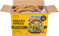 Amzey 5.5LB Spray Millet for Parakeets, 100% Natural Sun-Dried Healthy Bird Treat, Non-GMO High Protein Fresh Millet Spray for Parrots, Cockatiel, Finches & Lovebirds