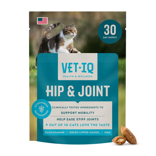 VetIQ Hip & Joint Supplement for Cats, Chicken Flavored Joint Health Supplement with Glucosamine and Green Lipped Mussel for Mobility and Arthritis Support, 3.7oz