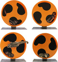 Silent Runner 12" Regular Wheel + Sandy Track + Cage Attachment - Pet Exercise Wheel Package Set - for Sugar Gliders, Fe