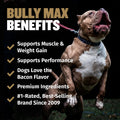 Bully Max 11-in-1 Dog Muscle Builder Power Chews - High Protein Muscle Gain Supplement with Amino Acids - Vet-Recommended for Puppy & Adult Canines, All Breeds & Ages - Made in USA - 75 Soft Chews
