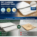 Pet Carrier for Cats and Small Dogs Up to 15 lb,Purple, Medium