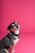 Dog Collar, Cute Camouflage Pattern, Soft and Adjustable Collar with Quick Release Buckle