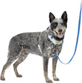 PetSafe Easy Walk Comfort No Pull Dog Harness, Blue, Medium