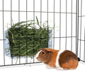 Hypeety Rabbit Hay Feeder Automatic Hay Rack for Guinea Pigs, Blue