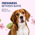 Arm & Hammer Odor Control Dog Wipes, Kiwi Blossom, 100 Count