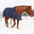 6 Pcs Horse Blanket Leg Straps, Elatic Horse Blanket Leg Straps Replacement with Duble Ended Clips, 20 Inch Horse Rug Ta