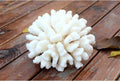 Besimple Pack of 2 Artificial Coral Ornament, Aquarium Resin Coral Decor Underwater Sea Plants Fish Tank Decoration Aqua