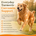 Turmeric Curcumin for Senior Dogs & Cats, Canine Joint & Mobility Support