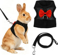 Black Rabbit Harness and Leash Set with Cute Bow for Small Pets