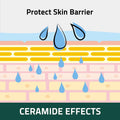 PetO'CERA Cat Cream - Hair Loss & Itch Relief for Hot Spots, Rashes, Allergies & Dry Skin - Soothing Moisturizer for Paw