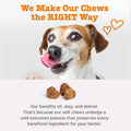 Zesty Paws Scoot Away Soft Chews - Healthy Bowel Function with Bromelain, Vita Fiber for Dogs, & Dandelion Root for Dog Digestive Support and Gut Health - 90 Soft Chews