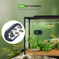 PAIZOO LED Aquarium Thermometer Digital Highly Accurate Replaceable Battery