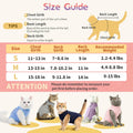 Hpetppy 2 Pack Cat Recovery Suit Female for After Surgery Kitten Onesie