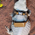 Bearded Dragon Harness and Leash Adjustable(M,L,XL) - Soft Leather Reptile Lizard Leash Accessories for Bearded Dragon, 
