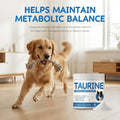Taurine Powder Supplement for Dogs, Heart Function, Muscle & Metabolism