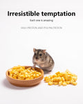 Niteangel Hamster Snack Treat Toy: Freeze-Dried Pumpkin & No Additive