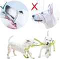 Gentle Muzzle Guard for Dogs - Prevents Biting and Unwanted Chewing Safely Secure Comfort Fit - Soft Neoprene Padding – 