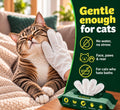 Petazy Pet Glove Wipes for Dogs & Cats – Hypoallergenic Thick Cleaning Gloves with Aloe & Coconut Oil for Paws, Face, Ears & Butt, Instant No Rinse Grooming Wipes to Deodorize and Hydrate, 25 Pack