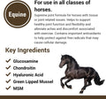 Vet Classics ArthriEase-Gold Joint Support for Horses - 2 lb, 4 Oz