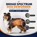 Dog Dewormer Liquid for Dogs and Puppies, Wormer for Tapeworms, Roundworms & Hookworm