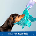 BARKBOX Best of BarkBox Interactive Plush Dog Toy Bundle