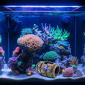 GSD Star-Fish Broken Barrel Decor Resin Betta Tank Accessories Ornaments for Cave Hide Decorations, Broken Barrel x 1pc,