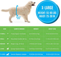 Bodhi Dog Disposable Male Dog Diapers - Super Absorbent, Leak-Proof Pee Wraps - Adjustable Fit, Comfortable Design, Adva