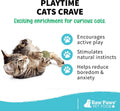 Raw Paws Catnip Balls for Cats (6-Count) - Interactive Indoor Cat Toy