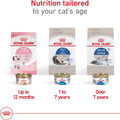Royal Canin Feline Health Nutrition Indoor Adult Dry Cat Food, 7 lb Bag