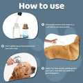 2 Pack No-Rinse Coat Care Essence for Dogs & Cats | Includes Fine Mist Spray Bottle (60ml/2oz Refillable) to Nourish & Shine | Conditioning Formula Soothes Skin, Pomegranate Scent (Transparent)