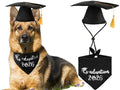 Dog Graduation Cap with Yellow Tassel and Black Pet Graduation 2026 Bandana