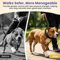 Crazy Felix No Pull Dog Collar, Hidden Martingale Training Collar