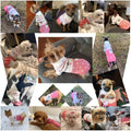 CHBORCHICEN Pet Dog Sweaters Classic Knitwear Turtleneck Winter Warm Puppy Clothing Cute Strawberry and Heart Doggie Sweater (Pink, Medium)
