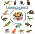 ANCKNE 200 pcs 0.5oz Crested Gecko Food and Water Feeding Cups | Reptile Feeder Bowls | for Lizard and Other Small Pet L