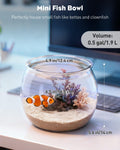 Pawfly 0.5 Gallon Mini Plastic Fish Bowl, Unbreakable Small Fishbowl Desktop Aquarium, Clear Round Plastic Fish Tank for