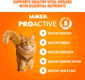 IAMS Proactive Health Healthy Adult Dry Cat Food, Chicken, 3.5 lb