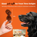 NutriChomps Dog Chews, 4-inch Knots, Easy to Digest, Rawhide-Free Dog Treats, 9 Count, Real Chicken, Peanut Butter and Milk flavor