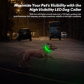 BSEEN Light Up Dog Collar (Green 70cm)