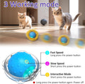 Giociv Interactive Cat Toys Ball Fast Rolling in Pouch, Motion Activate Chirping Cat Toy Hide and Seek Mouse Catching Game (Blue)