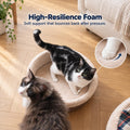 Cat Bed Cave - Enclosed Hideaway with Detachable Lid for Kitten
